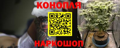 шишки Кимры