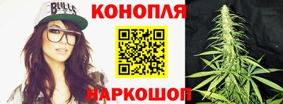 шишки Кимры