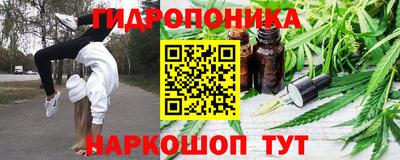 шишки Кимры