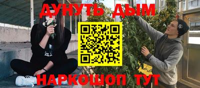 шишки Кимры